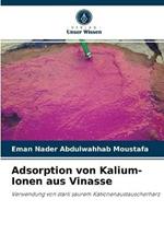 Adsorption von Kalium-Ionen aus Vinasse