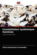 Constellation systemique familiale