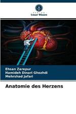 Anatomie des Herzens