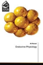 Endocrine Physiology