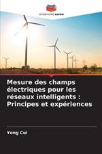 Mesure des champs electriques pour les reseaux intelligents: Principes et experiences