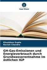 GH-Gas-Emissionen und Energieverbrauch durch Grundwasserentnahme im oestlichen IGP