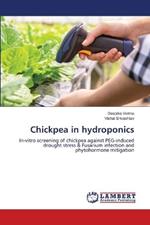 Chickpea in hydroponics