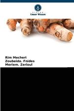 Ethnobotanische Untersuchung Der Verwendung Von Kurkuma