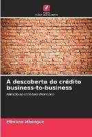 A descoberta do credito business-to-business