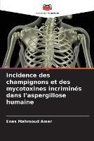 Incidence des champignons et des mycotoxines incrimines dans l'aspergillose humaine