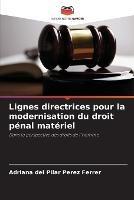 Lignes directrices pour la modernisation du droit penal materiel