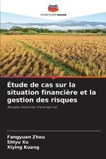 Etude de cas sur la situation financiere et la gestion des risques