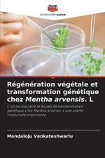 Regeneration vegetale et transformation genetique chez Mentha arvensis. L