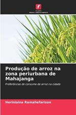 Producao de arroz na zona periurbana de Mahajanga