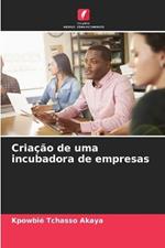 Criacao de uma incubadora de empresas