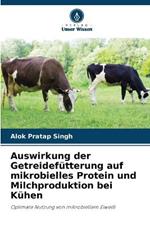 Auswirkung der Getreidefutterung auf mikrobielles Protein und Milchproduktion bei Kuhen