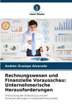 Rechnungswesen und Finanzielle Vorausschau: Unternehmerische Herausforderungen