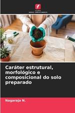 Caráter estrutural, morfológico e composicional do solo preparado