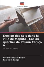 Erosion des sols dans la ville de Maputo - Cas du quartier de Polana Caniço A