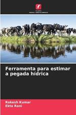 Ferramenta para estimar a pegada hídrica