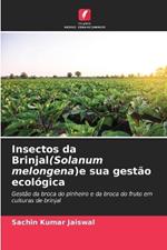 Insectos da Brinjal(Solanum melongena)e sua gestão ecológica