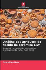 Análise dos atributos do tecido da cerâmica EIW