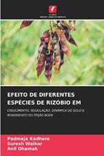 Efeito de Diferentes Espécies de Rizóbio Em