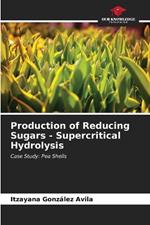 Production of Reducing Sugars - Supercritical Hydrolysis