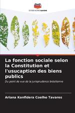 La fonction sociale selon la Constitution et l'usucaption des biens publics