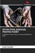 Effective Judicial Protection?