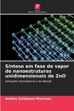 Síntese em fase de vapor de nanoestruturas unidimensionais de ZnO