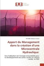 Apport du Management dans la cr?ation d'une Microcentrale Hydraulique