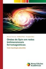 Ondas de Spin em redes bidimensionais ferromagnéticas