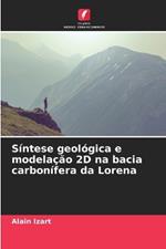 Síntese geológica e modelação 2D na bacia carbonífera da Lorena