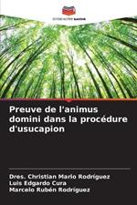 Preuve de l'animus domini dans la procédure d'usucapion