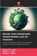 Biogás Para Biometano: Transformar Lixo Em Tesouro