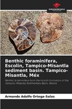 Benthic foraminifera, Escolin, Tampico-Misantla sediment basin. Tampico-Misantla, Méx