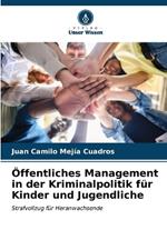 Öffentliches Management in der Kriminalpolitik für Kinder und Jugendliche