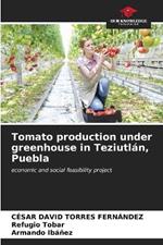 Tomato production under greenhouse in Teziutlán, Puebla