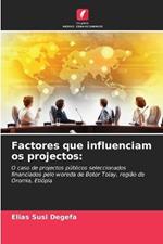 Factores que influenciam os projectos