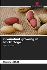 Groundnut growing in North Togo