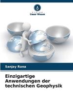 Einzigartige Anwendungen der technischen Geophysik