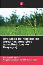 Avalia??o de h?bridos de arroz nas condi??es agroclim?ticas de Prayagraj