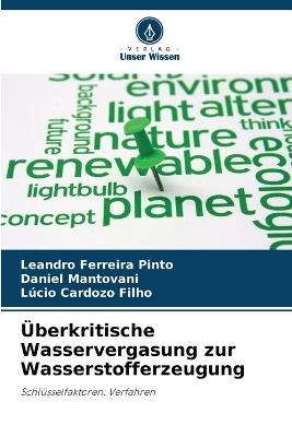 ?berkritische Wasservergasung zur Wasserstofferzeugung - Leandro Ferreira Pinto,Daniel Mantovani,L?cio Cardozo Filho - cover