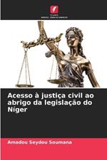 Acesso ? justi?a civil ao abrigo da legisla??o do N?ger