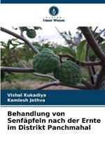 Behandlung von Senf?pfeln nach der Ernte im Distrikt Panchmahal