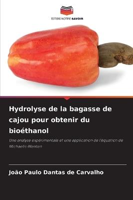 Hydrolyse de la bagasse de cajou pour obtenir du bio?thanol - Jo?o Paulo Dantas de Carvalho - cover