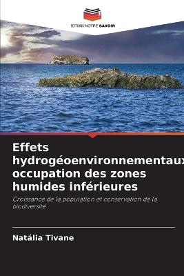 Effets hydrog?oenvironnementaux, occupation des zones humides inf?rieures - Nat?lia Tivane - cover