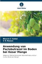 Anwendung von Paclobutrazol im Boden bei Kesar Mango