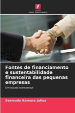 Fontes de financiamento e sustentabilidade financeira das pequenas empresas