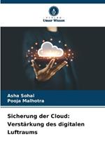 Sicherung der Cloud: Verst?rkung des digitalen Luftraums