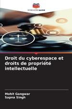 Droit du cyberespace et droits de propri?t? intellectuelle