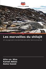 Les merveilles du shilajit