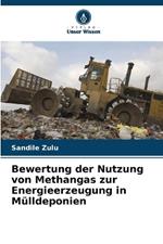 Bewertung der Nutzung von Methangas zur Energieerzeugung in M?lldeponien